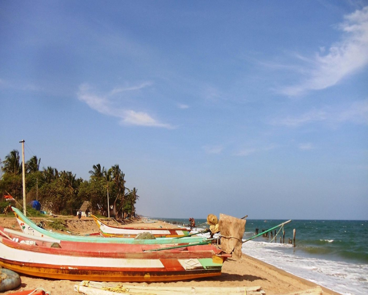 auroville beach pondicherry latest